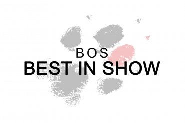 BOS Best In Show (unedited)