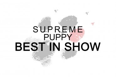Supreme Puppy Best In Show (unedited)