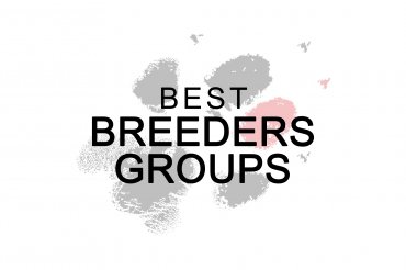 Best breeders groups (unedited)
