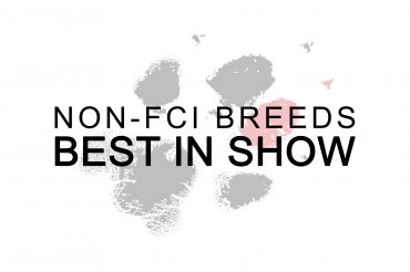 Non-FCI breeds Best In Show (unedited)