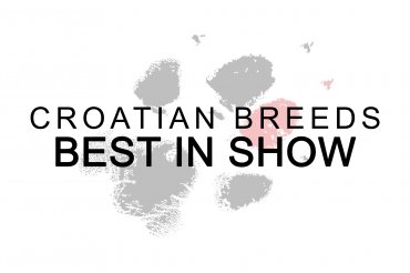 Croatian breeds BIS (unedited)