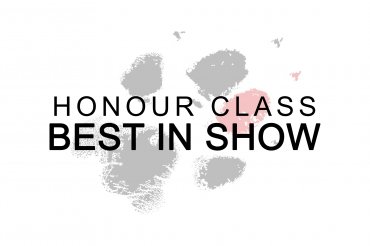 Honour class BIS (unedited)