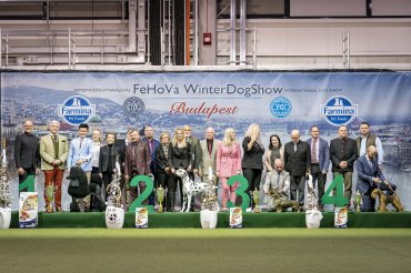 FeHoVa Winterdogshow 2024 Day 3