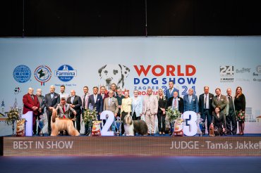 Spring Dog Show - Zagreb CACIB 2024