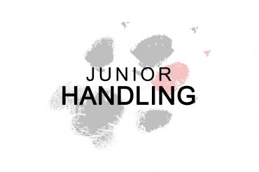 Junior handling (unedited)