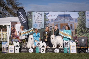 World Samoyed Meeting 2025