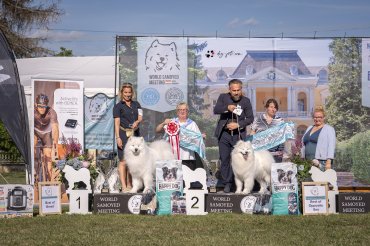 Silver Jubilee Winner Clubshow 2025