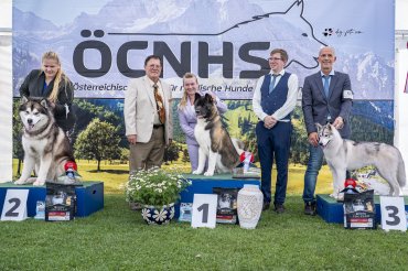 zVulkanland Winner 2025 - Show 1