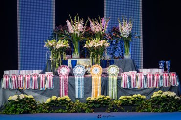 World Dog Show 2025 Helsinki - day 1