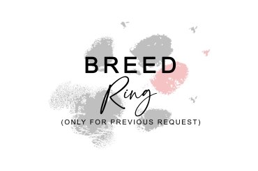 Bernese ring (unedited)