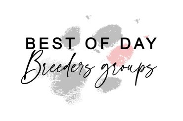 Best Breeders groups (unedited)