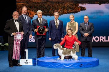 World Dog Show 2025 Helsinki - day 3