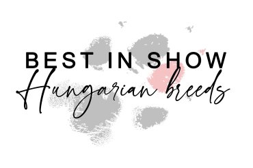 Hungarian breeds BIS (unedited)