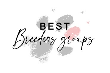 Best Breeders groups (unedited)