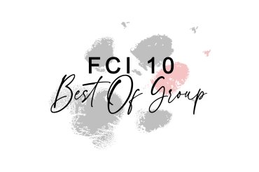Best of FCI Group 10 (unedited)