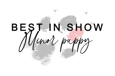 Minor Puppy BIS (unedited)