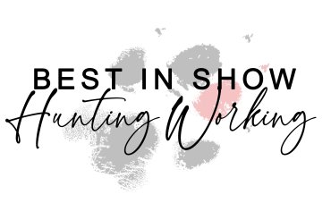 Hunting Working BIS (unedited)