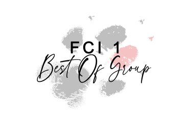 FCI Group 1 (unedited)