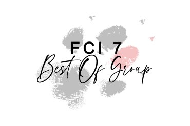 FCI Group 7 (unedited)