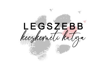 Legszebb kecskeméti kutya (unedited)