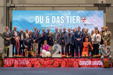 zzTulln CACIB 2025 day 1
