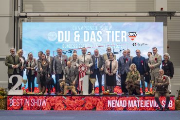 Tulln CACIB 2025 day 3