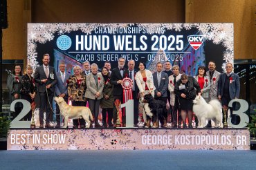 ZzWels CACIB 2025 day 1