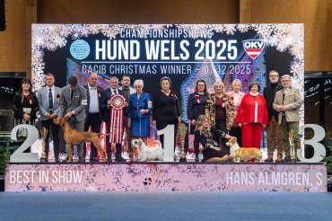 ZzWels CACIB 2025 day 3