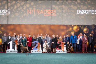 zzzNitra CACIB 2025 day 1