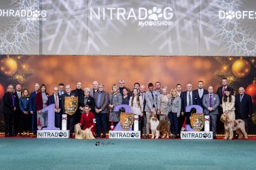 zzzNitra CACIB 2025 day 3