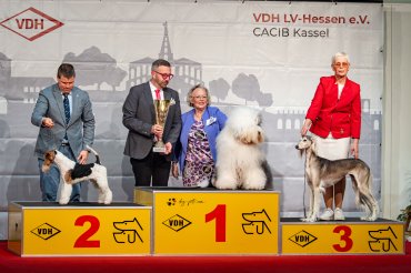 Kassel CACIB 2026 day 1