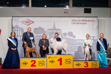 Kassel CACIB 2026 day 2