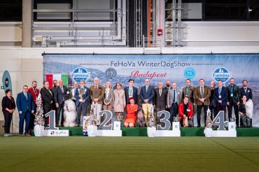 ZzFeHoVa Winterdogshow 2026 Day 1
