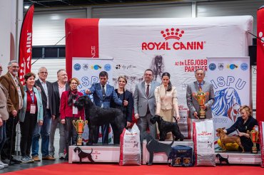 zzzISPU Show Budapest 2026