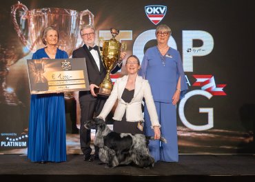 ZzAustria Top Dog 2025