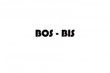 bos-bis (unedited photos)