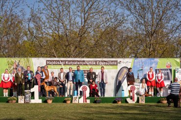 zzHajdúdorog CACIB 2026 day3