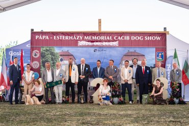 zPápa CACIB 2026 day 1