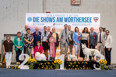 zKlagenfurt CACIB 2026 day 2