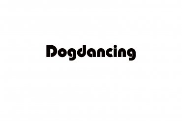dog dancing (unedited photos)