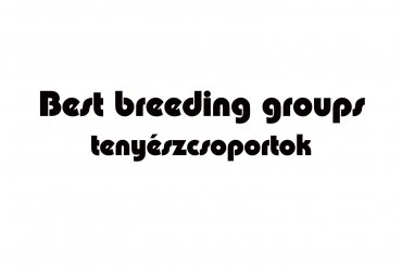 best breeding groups (unedited photos)