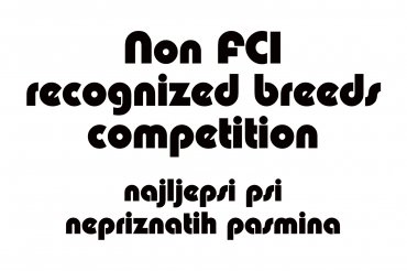 non FCI breeds competition (unedited photos)