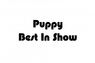 puppy best in show (unedited photos)