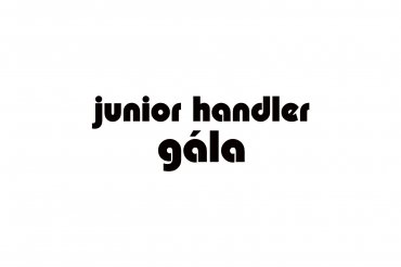 junior handler gála (unedited photos)