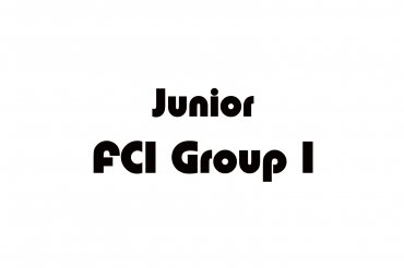 fci group 1 junior (unedited photos)