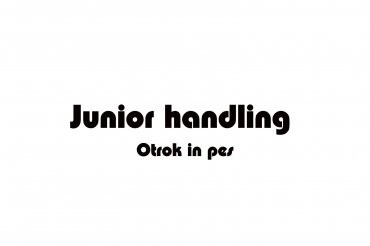 junior handler (unedited photos)