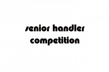 senior handler (unedited photos)