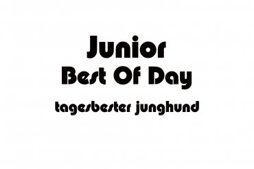 junior best of day (unedited photos)