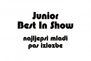junior best in show (unedited photos)