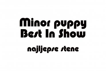 minor puppy best in show (unedited photos)